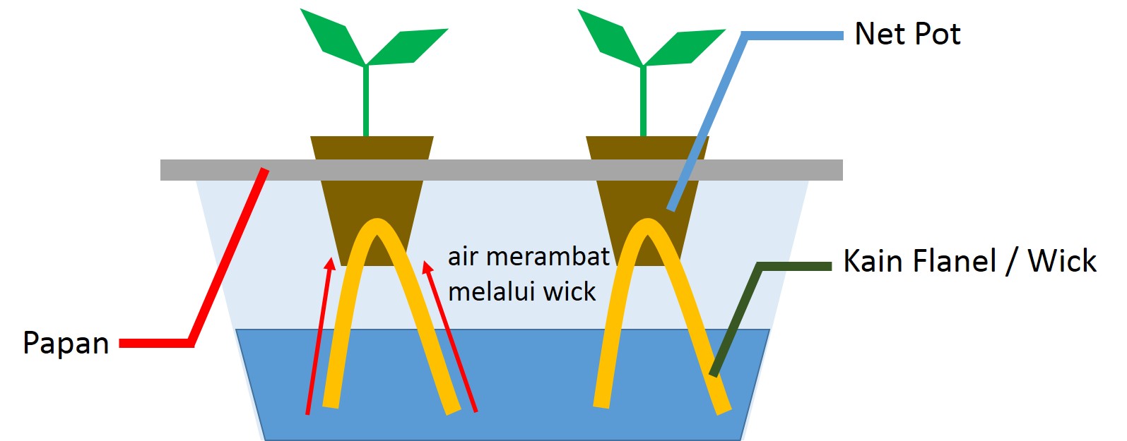 Bercocok Tanam dengan Cara Hidroponik