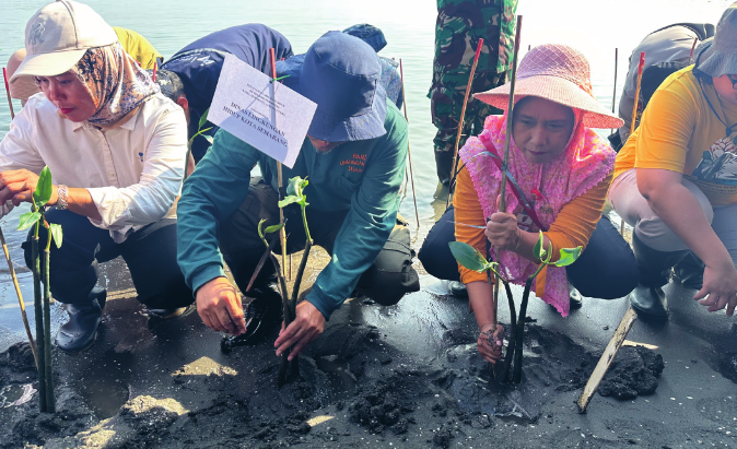 Penanaman Mangrove di Pesisir Pantai